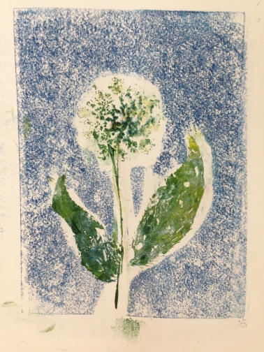 I inked a Styrene plate with block printing ink and placed a Queen Anne's lace directly on top.  I used the rolling pin to print. The process left a disappointing big white blob on the paper, so I applied paint to the flower and reprinted, then added leaves from another type of flower.